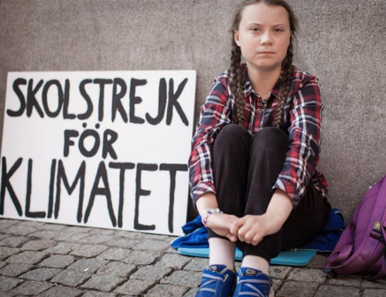 The Greta Thunberg effect